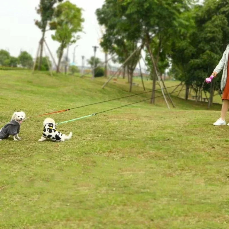 Dual Walk Leash