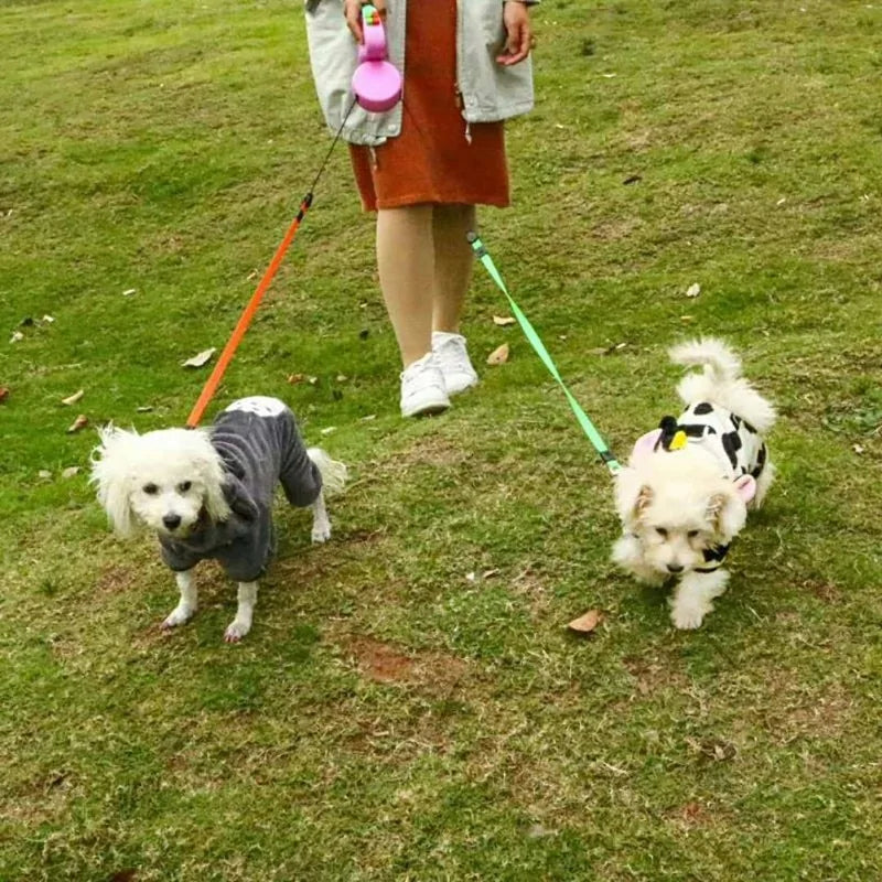 Dual Walk Leash